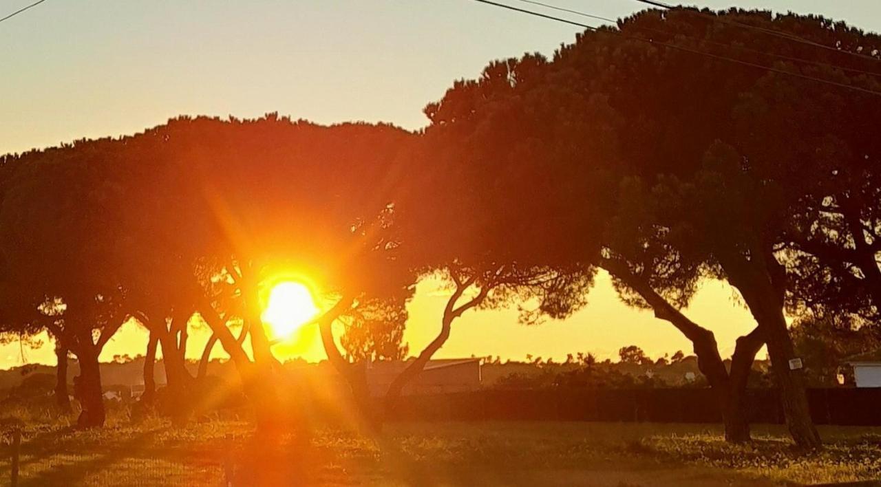 Sublime Sun & Van - By Meco Stays Alfarim Buitenkant foto